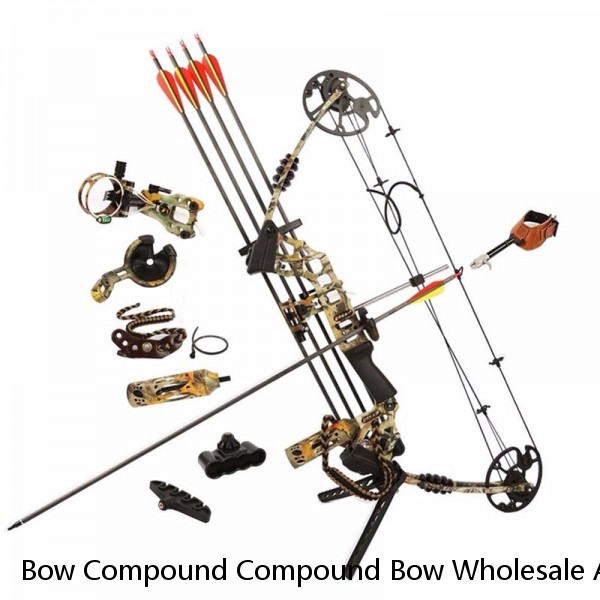 Bow Compound Compound Bow Wholesale Archery Arrows Complex Material Bow Limb Material 20-50 Lbs Compound Bow