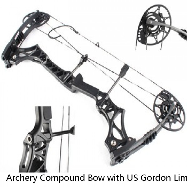 Archery Compound Bow with US Gordon Limb Adjustable 70lbs Professional Hunting Compound Bow