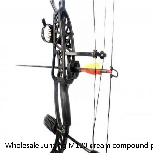 Wholesale Junxing M120 dream compound pulley bow and arrow tricolor optional outdoor hunting archery 20-70 pounds