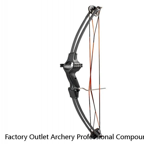 Factory Outlet Archery Professional Compound Bow and Arrow Hunting Adjustable M128 Compound Bow