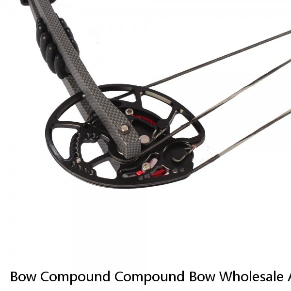 Bow Compound Compound Bow Wholesale Archery Arrows Complex Material Bow Limb Material 20-50 Lbs Compound Bow