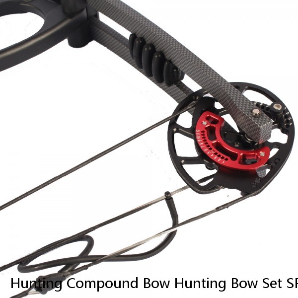 Hunting Compound Bow Hunting Bow Set SPG Arrow Hunting Archery Compound Bow Fiberglass Carbon Fiber Compound Bow And Arrow Set