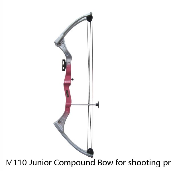 M110 Junior Compound Bow for shooting practicing archery with aluminum arrow 18lbs Nylon handle and limbs youth compound